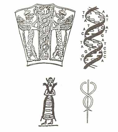 DNA Ancient drawing