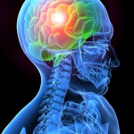 Secrets of the Pyramid Brain Image