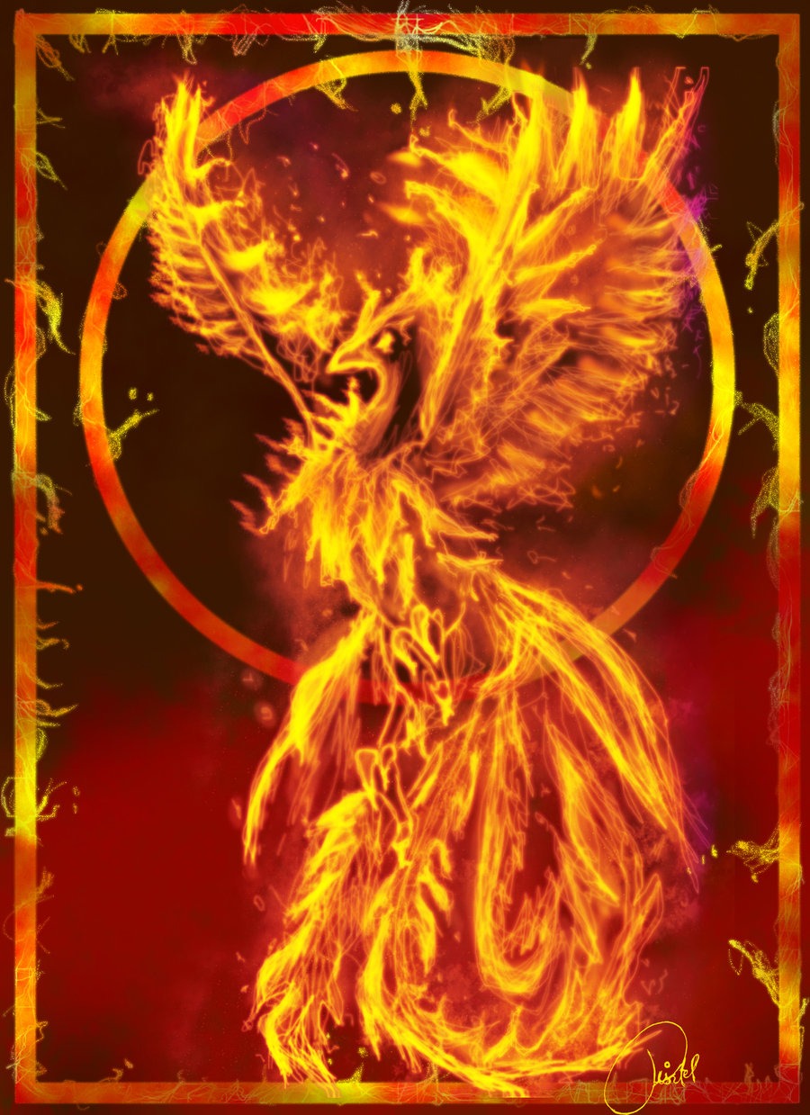 fire_spirit_phoenix_by_orionca-d2sain3