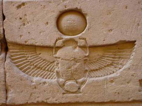 scarab beetle egyptian