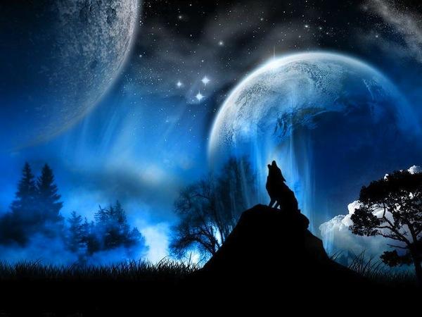 Wolf-Moon 2
