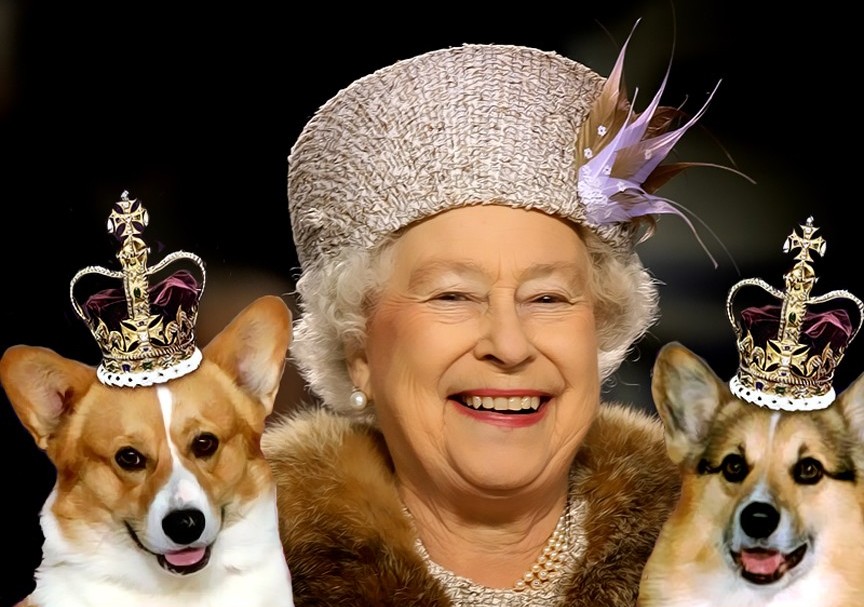 Queen Elizabeth and dogs