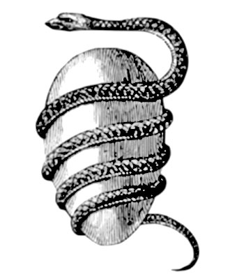 Serpent around egg