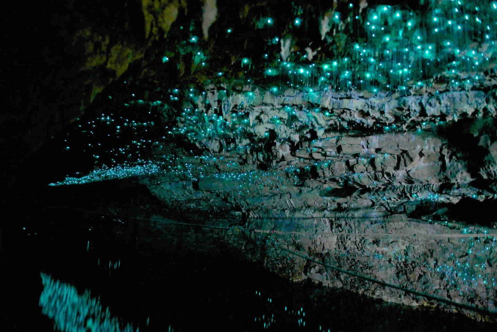 Beautiful-Waitomo-Caves-Glow-Worm-Pictures