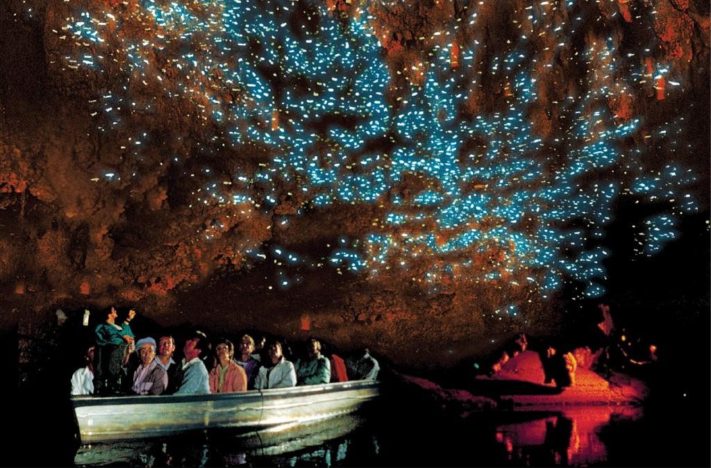 Waitomo-Caves-Glow-Worm-Pictures