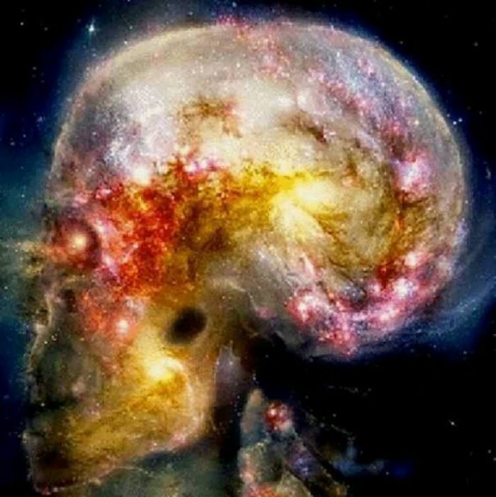 All That The Intellect Can Conceive Of Comes From The Stars Gnostic