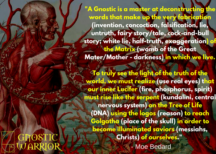 Quote on gNOSTICS (1)