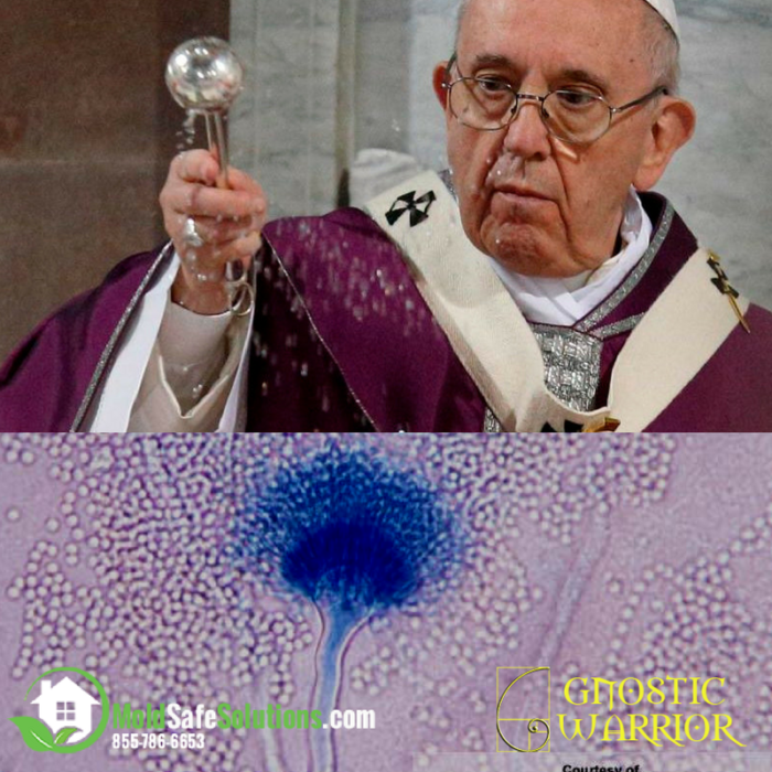 Catholic priests use the Aspergillum (from Aspergillus) to