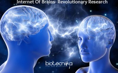 Scientists prove brain to brain communication creates internet super brain