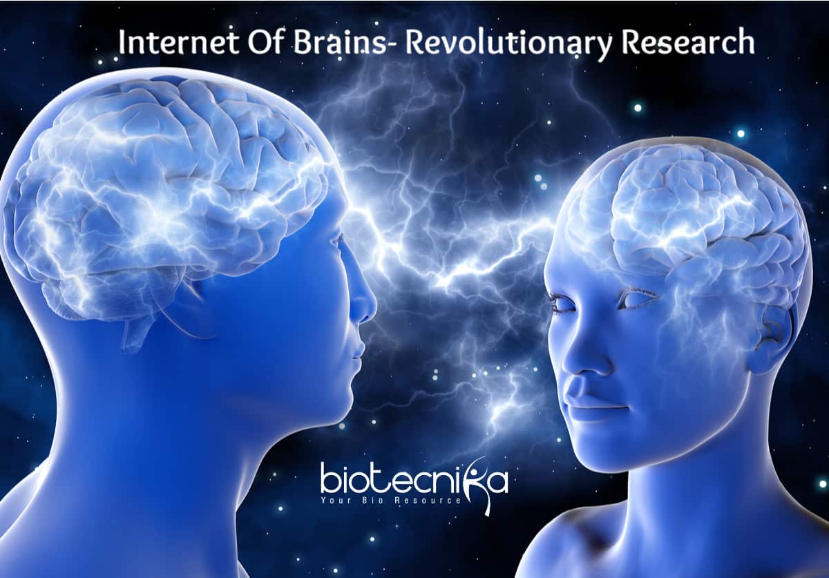Scientists prove brain to brain communication creates internet super brain