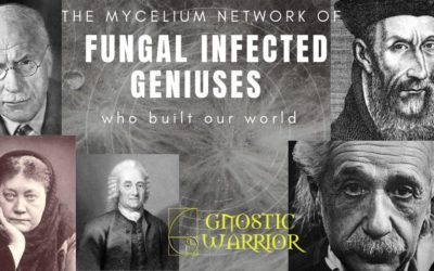 The mycelium network of fungal infected Geniuses who built our world