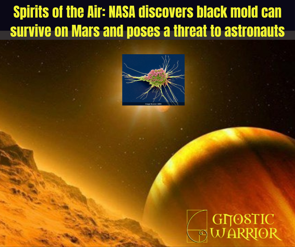 Spirits of the Air: NASA discovers black mold can survive on Mars and poses a threat to astronauts