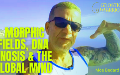 Morphic Fields, DNA Gnosis & the Global Mind