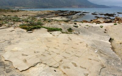 Earliest Footprints of Humanoids Discovered on the Island of Crete