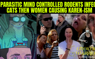 Parasitic Mind Controlled Rodents Infect Cats Then Women Causing Karen-ism