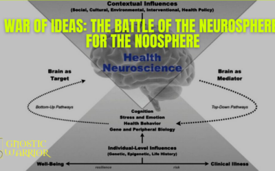 War of Ideas: The Battle of the Neurosphere for the Noosphere