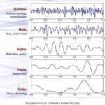 Analyzing-the-Brain-Waves-Data-Using-Python